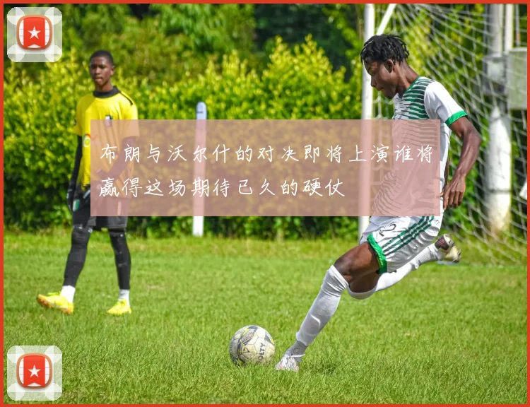 布朗与沃尔什的对决即将上演谁将赢得这场期待已久的硬仗