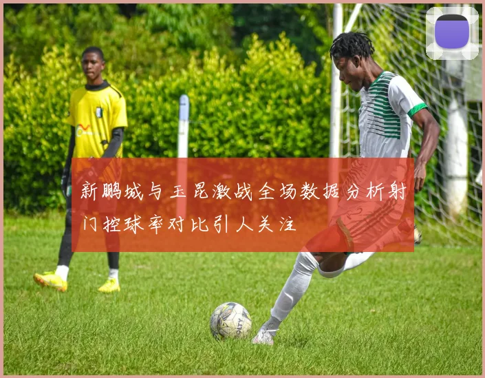 新鹏城与玉昆激战全场数据分析射门控球率对比引人关注