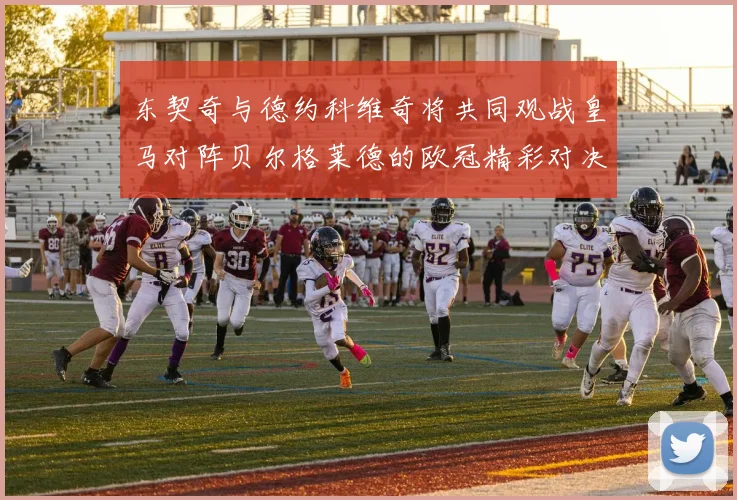 东契奇与德约科维奇将共同观战皇马对阵贝尔格莱德的欧冠精彩对决