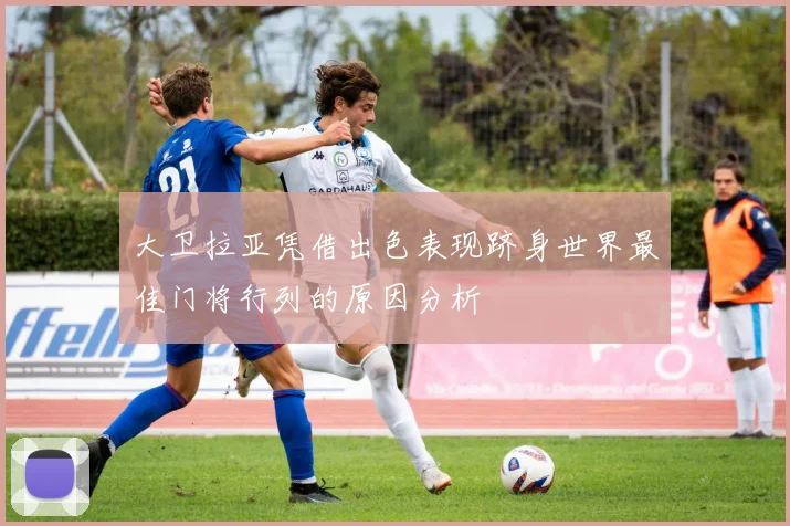 大卫拉亚凭借出色表现跻身世界最佳门将行列的原因分析